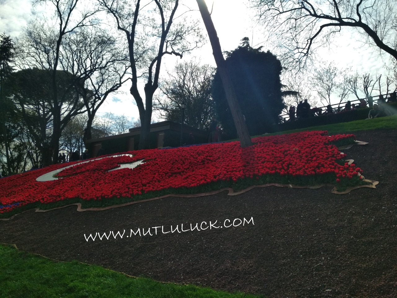 Tidak lupa bendera Turki dari bunga tulip juga terpampang jelas